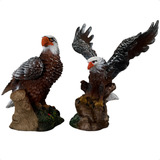2 Gaviao Aguia Asa