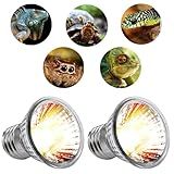 2 Lâmpadas Aquecimento Terrário Uva Uvb 3 0 Répteis 220v