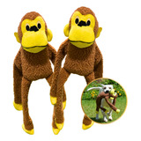 2 Macaco Pet Brinquedo