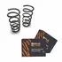 2 Molas Dianteiras Blindada Freelander Discovery 2
