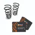 2 Molas Traseiras Volvo 850 Glx 2 5l Ou 2 0l 20v