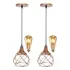 2 Pendente Aramado Esfera Balonê Regulável Lustre 2 Lâmpadas