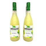 2 Pisco Campanario Sour