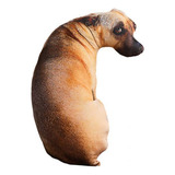 2 Travesseiro De Cachorro
