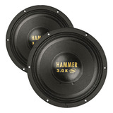 2 Woofer 12 Pol