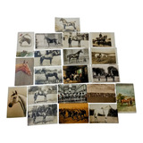 20 Cartões Postais De 1908 À Década De 30 Com Tema Cavalos