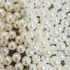 200pçs Brincos Perola 8mm   Tarracha De Silicone Atacado