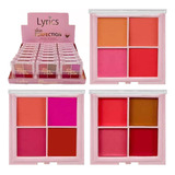 24 Paleta De Blush