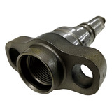 2418455518 Elemento Bomba Injetora