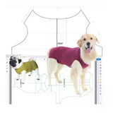 25 Moldes Modelagem Pet
