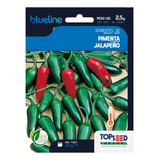 250 Sementes De Jalapeno