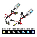 2x Hid Xenon Bulb