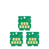 3 Chip Caixa Tanque