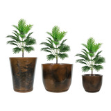 3 Vasos De Planta