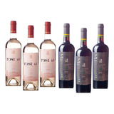 3 Vinhos Finos Cabernet