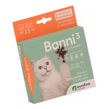 3 X Banni Gatos