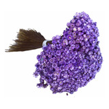 300 Florzinhas Naturais Violeta