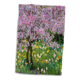 3d Rosa Franca Giverny