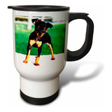 3drose Pinscher Puppy Travel