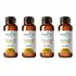4 Essências Perfume Importado Top Premium 100ml
