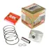 4 Kits Pistão Cb 600 Hornet 08 Em Diante Kmp Premium 0,25