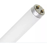 4 Lampada 15w Mata