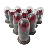 40 Mini Redomas Rosa