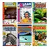  40 Revistas Palavras Cruzadas Passatempos - Sem Repetições
