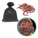 400 Minhocas Californianas Compostagem