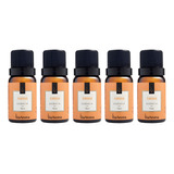 5 Essencias Aromatizador Difusor