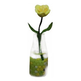 5 Flor Em Miniatura
