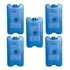 5 Gelo Reutilizável Artificial 200 Ml Ideal Cooler Bebidas