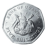 5 Shillings Fc