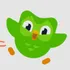 5 Vagas Duolingo Super