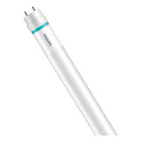 50 Lampadas Led Tubular