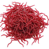 50 Minhocas Artificiais 4cm