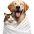 50 Toalha Banho Pet Enxuga Seca Gato Cachorro Macia Grande