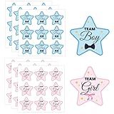 54 Adesivos De Revelacao