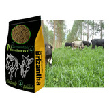 5kg Sementes De Brachiaria