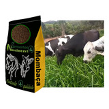 5kg Sementes De Capim