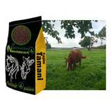5kg Sementes De Capim