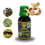 5x Propolis Verde Bees