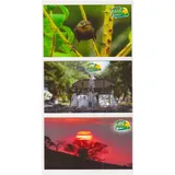 6 Cartoes Postais Tuiuti
