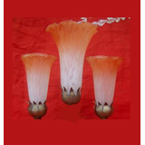 6 Tulipa Lirio Murano