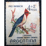9541 Argentina Fauna Passaro