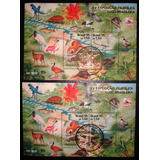 9763 Brasil 10 Blocos