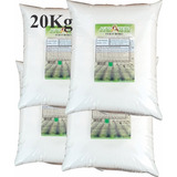 Ácido Bórico Puro Soluvel Fertilizantes 20kg