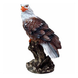 Aguia Gaviao Espanta Pombo