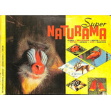 Album De Figurinha