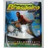 Álbum De Figurinhas Campeonato Brasileiro 2009 Completo